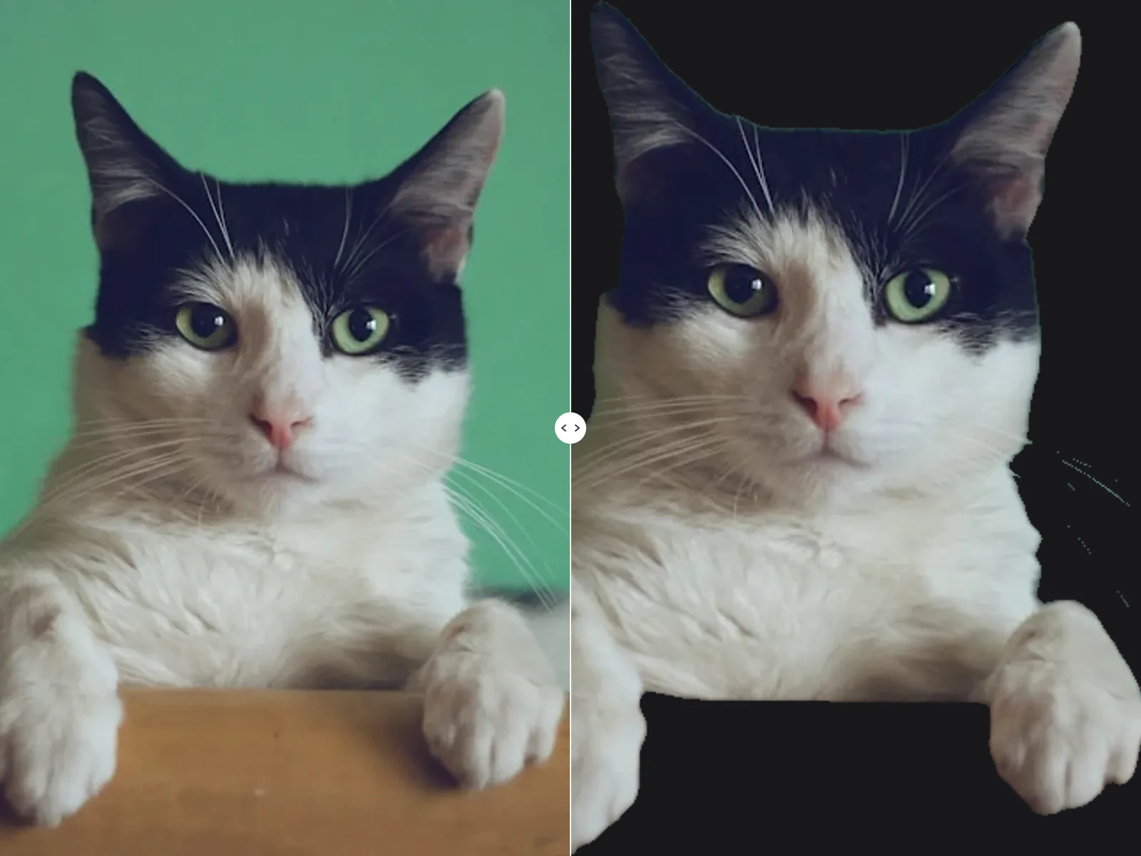Background Remover