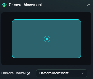 camera controls