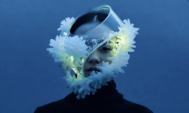Sea anemones output video